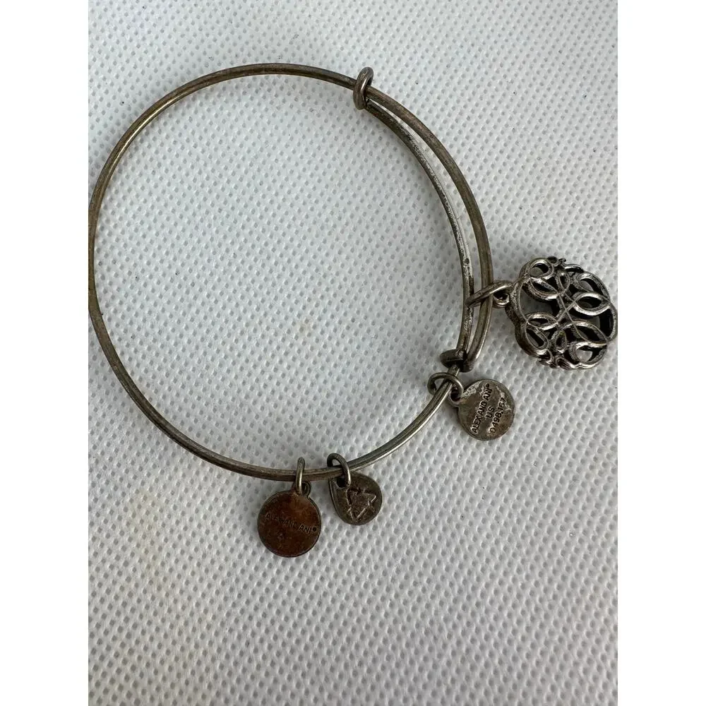 Alex and Ani Bracelet Path of Life